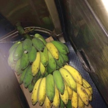 烟仔桂散装统货