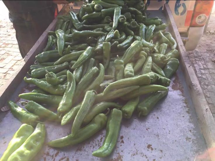 市场中消费者挑选牛角椒场景