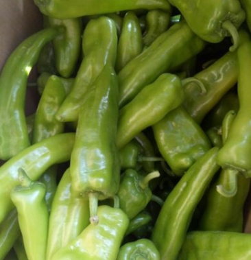 牛角椒 10~15厘米 青 微辣