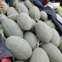 伽师瓜3斤以上长圆形