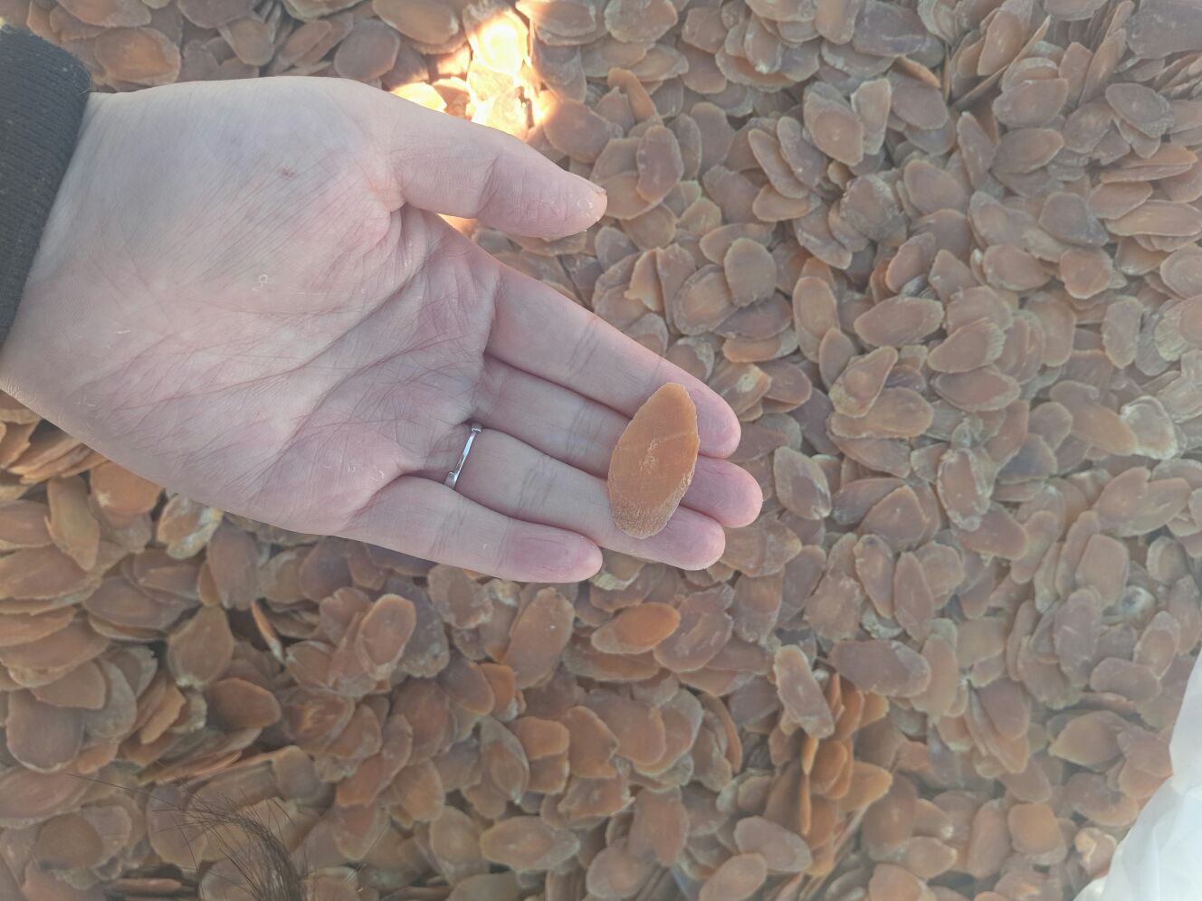 女性中医问诊场景