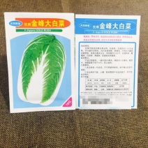 白菜种子