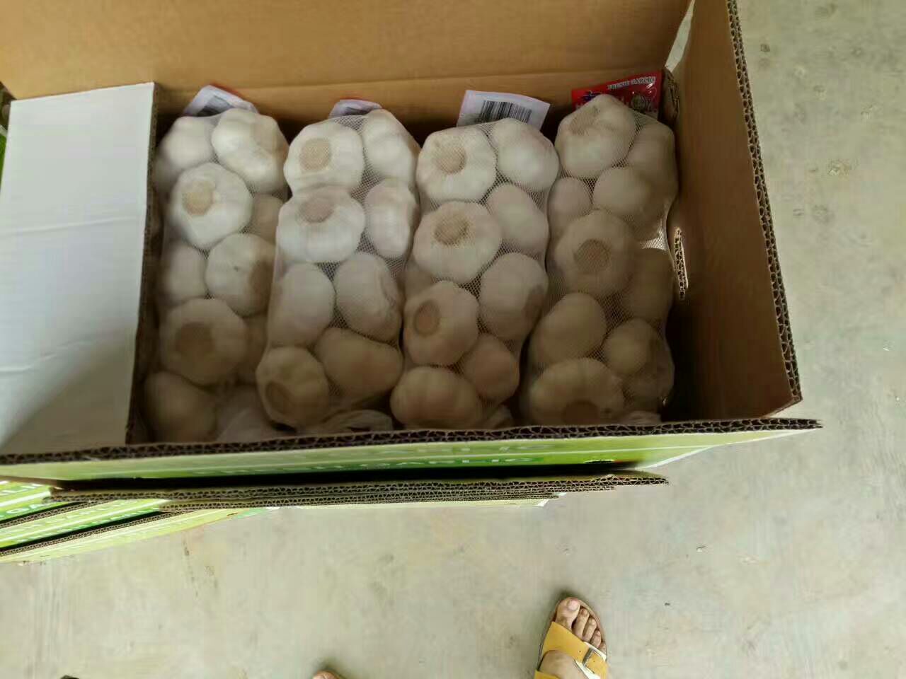 黑蒜发酵过程示意图