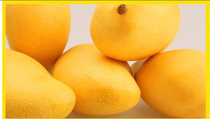 小台芒特写图片