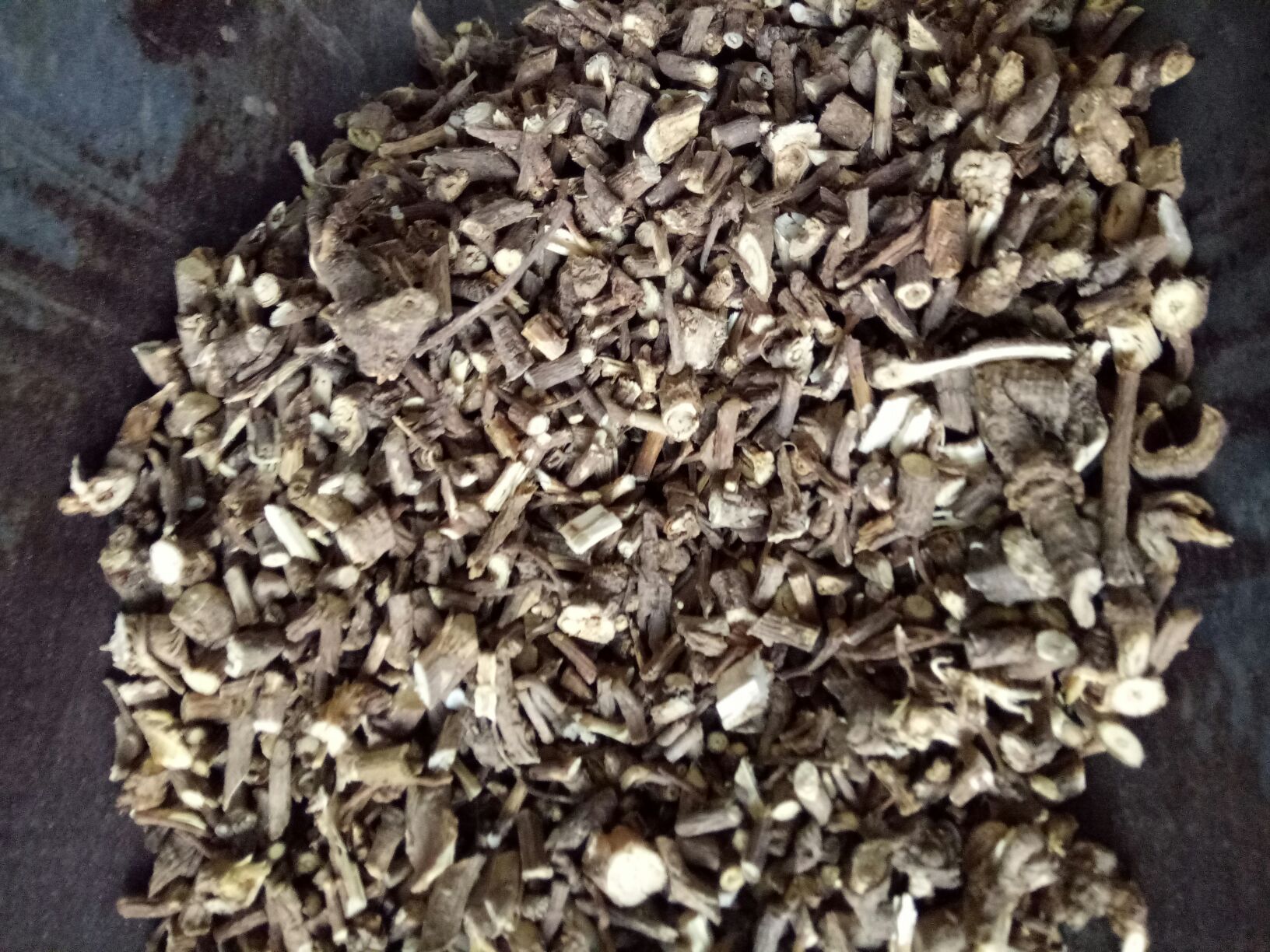 北柴胡根部横切面显微图像,清晰显示木栓层、皮部、韧皮部中的油室分布以及放射状排列的木质部导管,中央可见轻微裂隙,比例尺标注为200微米 北柴胡横切面显微结构示意图