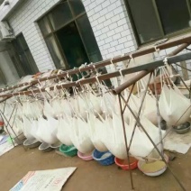红薯粉面颗粒