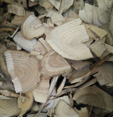 鸟不企 鸟不宿 楤木批发零售量大从优