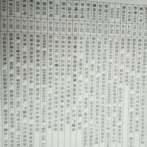 平菇菌种原种