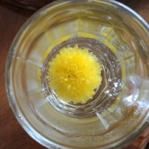皇菊茶一级