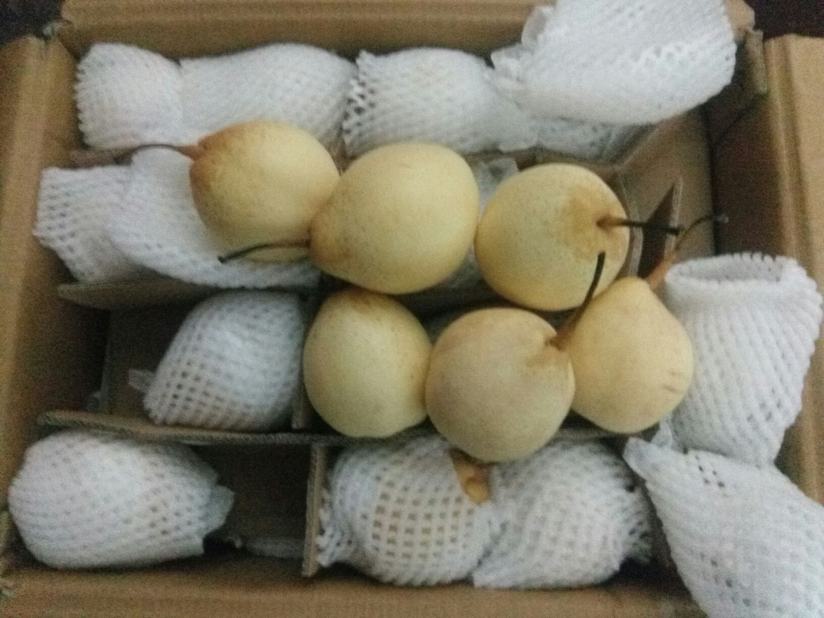 鸭梨出口包装与物流运输