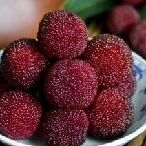 东魁杨梅3~4cm
