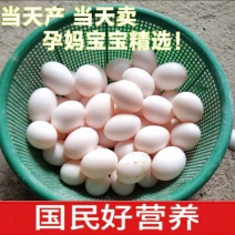新鲜鸽子蛋适合小孩子孕妇美容养颜