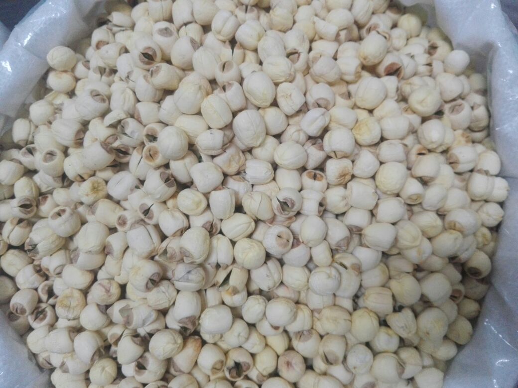 湘莲成品对比展示图