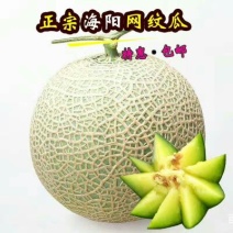 网纹瓜3斤以上椭圆形