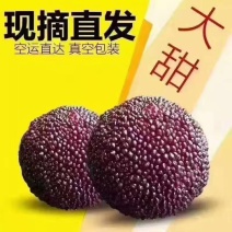 仙居杨梅