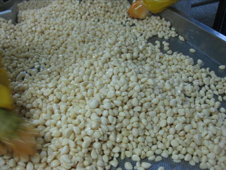 商用全自动剥蒜米机器整机外观：灰白配色立式设备，高度约1.6米，正面为触控操作屏与安全防护门，右侧设有透明观察窗与LED状态指示灯，底部带万向静音轮与排水接口，机身铭牌清晰标注“额定电压220V/50Hz，最大处理量80kg/h，蒜米完整率≥95%”