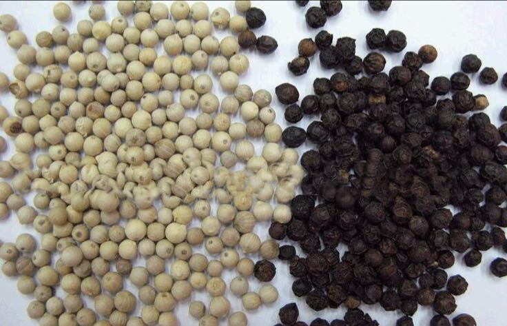 黑胡椒与白胡椒对比图