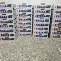 北陆蓝莓鲜果12~14mm以上