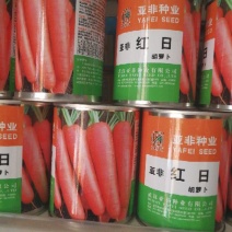 胡萝卜籽