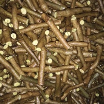 葛根苗发芽率保证，保证质量