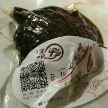 生态甲鱼0.5~1斤