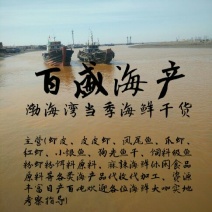 虾皮一级