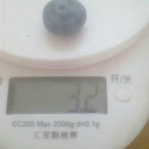 蓝莓鲜果12~14mm以上