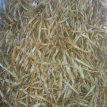 干黄菜