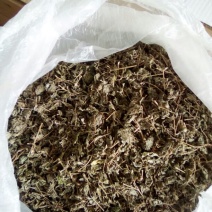野生藤茶