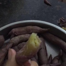 土瓜