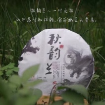 福鼎白茶