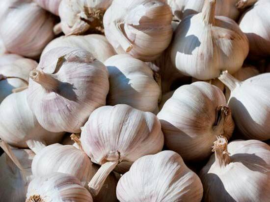 红蒜整颗与切开特写