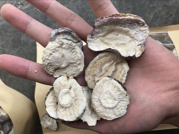 显微摄影图像:在光学显微镜400倍放大下,黑玛卡粉末呈现出不规则颗粒状结晶结构,部分区域可见脂质包裹微球,颜色为深灰褐色,背景为浅色载玻片,标注比例尺为50μm 实验室显微镜下观察黑玛卡粉末晶体结构