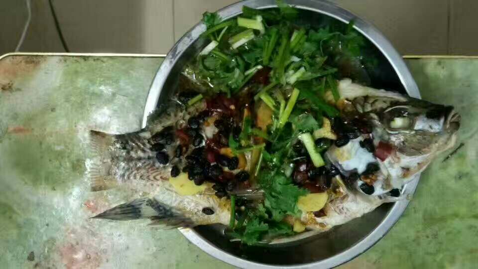 锅中正在煮制的车前草与黑豆汤,蒸汽升腾,展现食材融合后的自然香气 车前草与黑豆煮汤过程