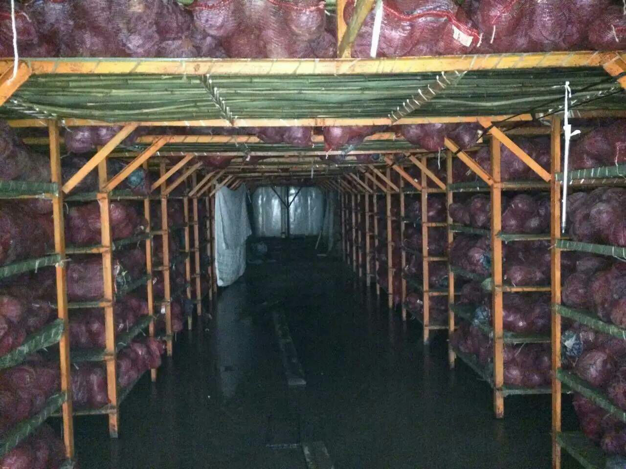 整颗紫甘蓝放置在冰箱保鲜抽屉中，外层叶片略有皱缩但整体颜色饱满，背景为冷藏环境