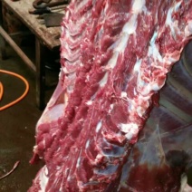驴肉鲜货