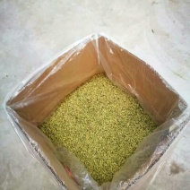 荷叶茶特级