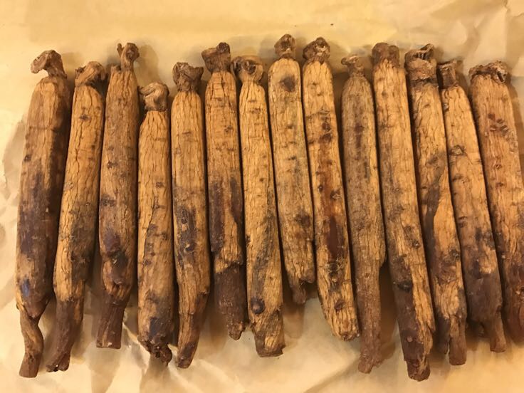 高丽参适用人群图示