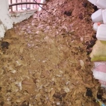油枯