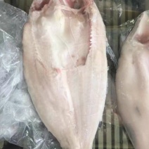 巴沙鱼
