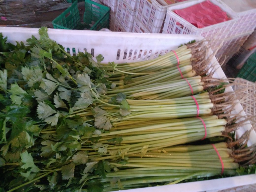 山芹野菜与山竹果盘