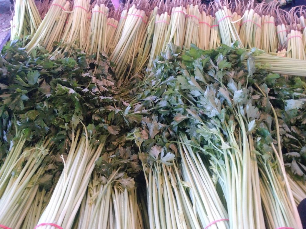 山芹与山竹并置对比图