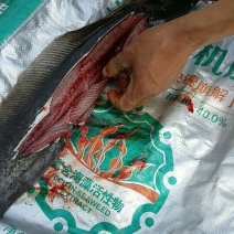 胡子鲶食用