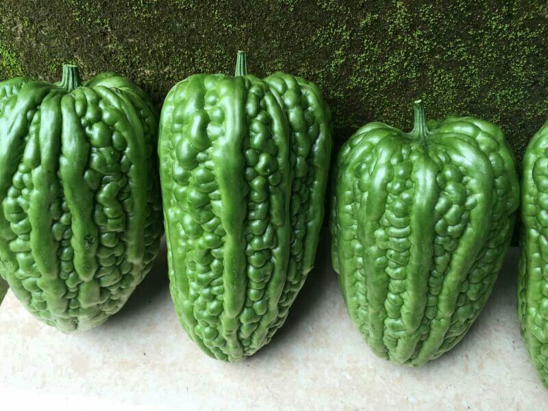 新鲜苦瓜与绿芹菜并列摆放,背景为厨房操作台 苦瓜与芹菜的食材图