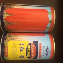 胡萝卜种子