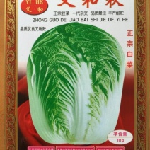 白菜种子