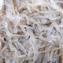海蜇食用鲜活