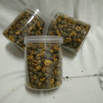 菊花茶特级