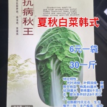 白菜种子