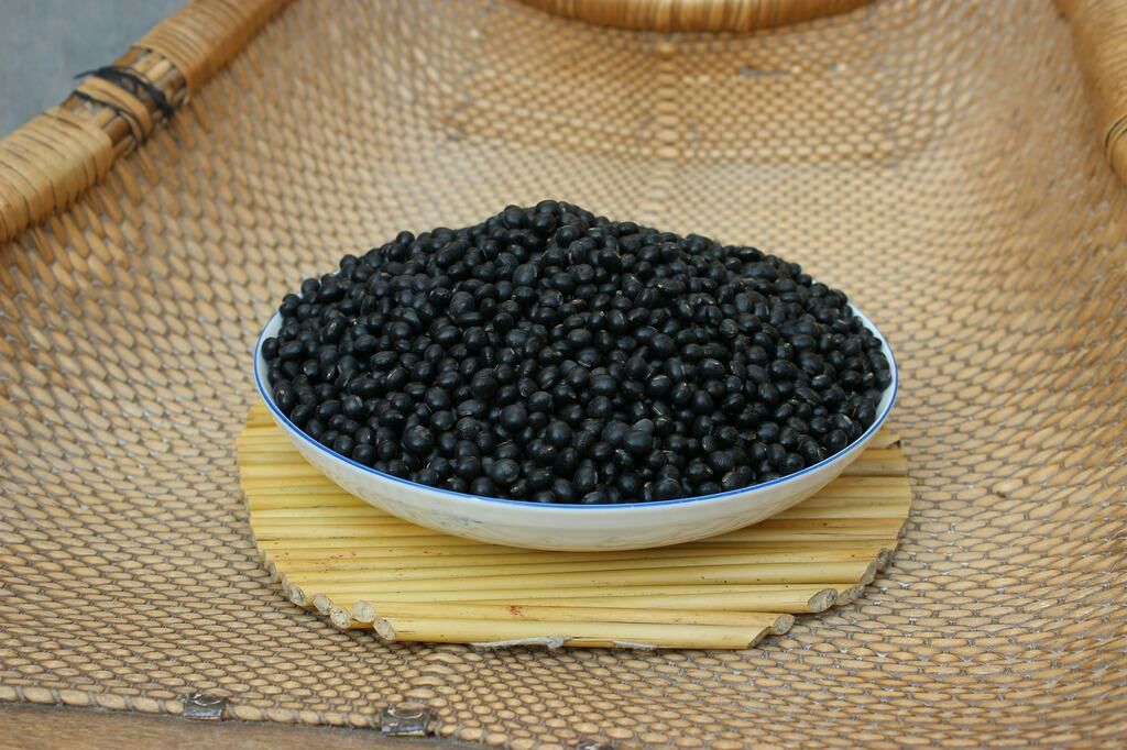 两小堆食材分别置于竹编托盘中:左侧为深紫色光泽的干黑豆,颗粒饱满均匀;右侧为新鲜采摘的车前草,叶片呈莲座状展开,翠绿带绒毛,根部带有少量泥土,旁边放置一把不锈钢剪刀 黑豆与新鲜车前草并列摆放